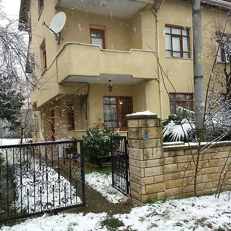Koru Holiday home *