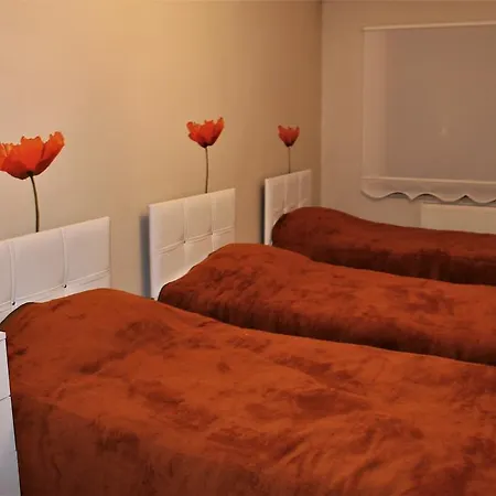 Koru Holiday home