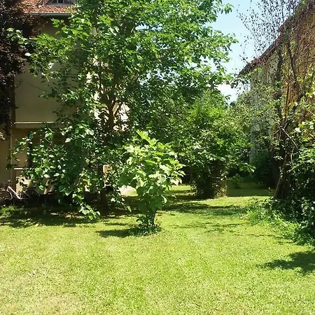 Koru Holiday home *