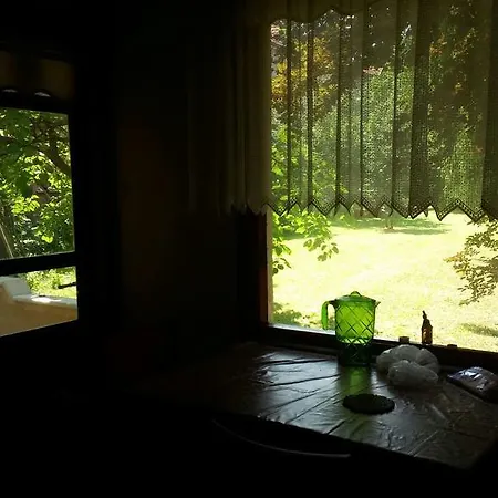 Koru Holiday home