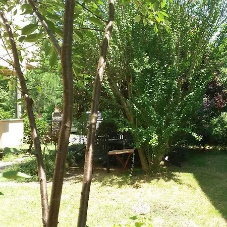 Koru Holiday home