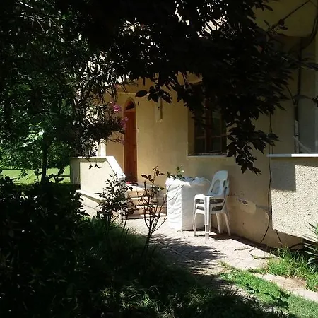 Koru Holiday home