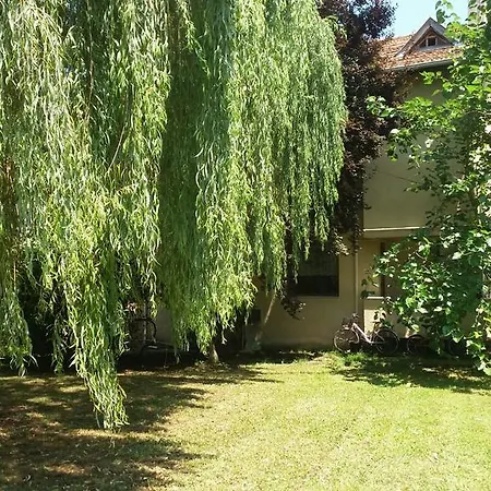Koru * Sapanca